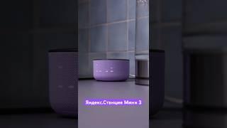 Яндекс.Станция Мини 3