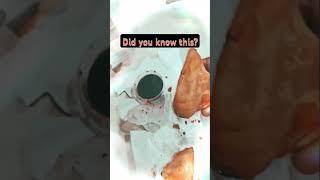 how is SaMoSa related to maths# Pythagoras #Why did it go to the space#watch this to know