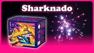 SHARKNADO von ALBERT FEUERWERK  | 11,11€ Thomas Philipps  | Silvester 2024/2025