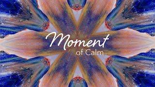 Moment of Calm | You Are So Many Things