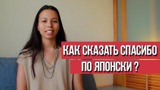 Как сказать спасибо по японски ? || Японский для начинающих || Дарья Мойнич