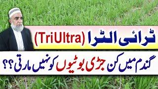 Which weeds are not controlled by Tri Ultra in wheat crop || Crop Reformer