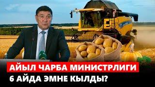 Айыл чарба министрлиги 6 айда эмне кылды?