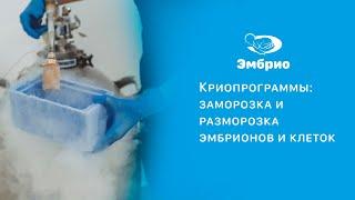 Заморозка и разморозка эмбрионов - клиника ЭКО Эмбрио Краснодар