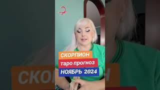 СКОРПИОН  таро прогноз ноябрЬ 2024 ОТ ЮЛИИ ДОЖДЬ