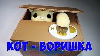 Кот воришка кот копилка. Кто ворует деньги?