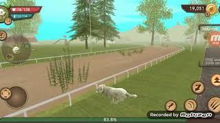 Баг в Dog Sim как попасть куда нельзя?