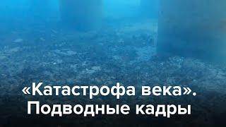 Как выглядит мазут на дне Черного моря