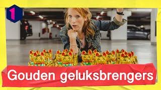 12 KATJES IN EEN BUGGY!