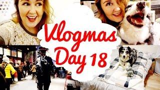 Getting A Dog!!! Vlogmas Day 18 | Shelly Coco