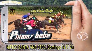 PINAMY BEBE-Gran Clasico Explosivo- Hipico Santa Ana Ctes 14.01.24