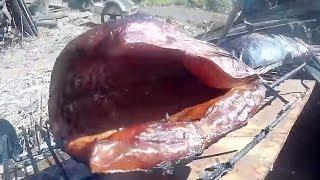 Толстолоб горячего копчения, очень вкусный рецепт копчёной рыбы, Hot smoked fish.