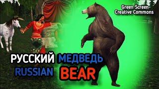 МЕДВЕДЬ на зелёном фоне анимация хромакей. BEAR green screen, chromakey footage.