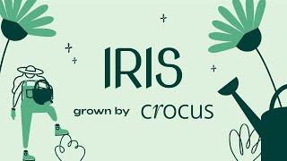 How can our free gardening app help you grow | Iris grown by Crocus.co.uk