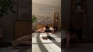 Lower belly Tone | Smaller Waistline Pilates Exercise