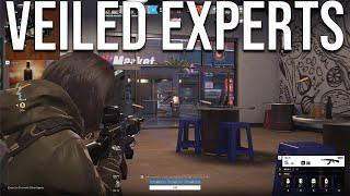 VEILED EXPERTS Gameplay (No Commentary) Ranked