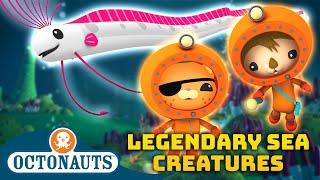 ​@Octonauts -  Legendary Sea Creatures  | 90 Mins Compilation | Underwater Sea Education