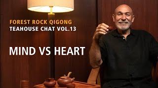 Forest Rock Teahouse Chat 14. Part 3. Mind vs Heart