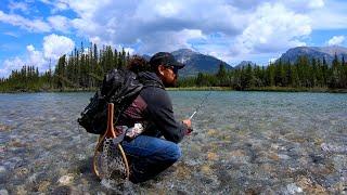 Incredible Mountain Trout Canmore Alberta! BOW RIVER Fishing