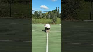 Bulls Eye #tennis #stunt