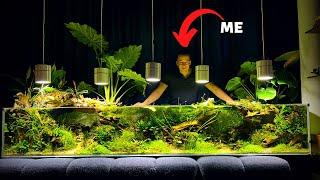 THIS 750 LITER PLANTED AQUARIUM WILL BLOW YOUR MIND!