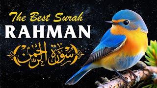 Surah Ar-Rahman: The Grace of the Most Compassionate - Murottal Al Quran Best Reciter By Ala Yaser