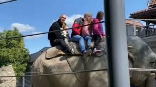 Выходной день в Швейцарии. Цюрих. Прогулка...животные...новости.