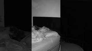 The orbs of bedroom #paranormal #orbs #ghost #viral #shortsviral #shortsyoutube