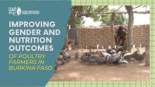 Improving gender and nutrition outcomes of poultry farmers in Burkina Faso