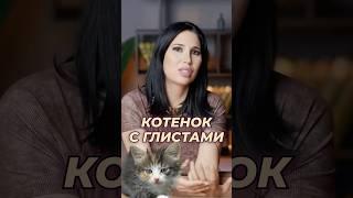 Чем котенок с ГЛИСТАМИ может заразить ЧЕЛОВЕКА #ВикторияОрлинская #кот #глисты #паразиты