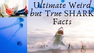 #shorts Ultimate Weird but True SHARK Facts -  national geographic kids