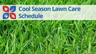 Lawn Care EXPERT Shares Year-Round COOL SEASON Timing Secrets