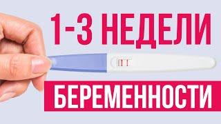 Признаки начала беременности. Что происходит с организмом в первые 3 недели?