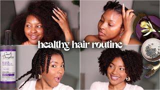 Healthy Hair Routine | Most Defined Twistout, Trying New Products, Detox Scalp | Kensthetic