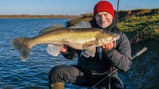 Dicke Zander im Winter! - GEHEIMWAFFE - CHEBU-RIG!