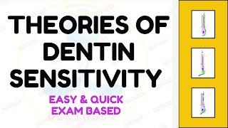 Theories of Dentin Hypersensitivity | Hydrodynamic Theory