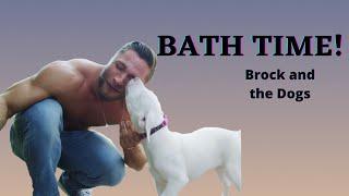 BATH TIME! Brock and the Dogs - Ep 8