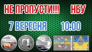 Не пропусти! 7 вересня інтернет магазин НБУ. Набір "Монети України 2019 року", "Кінь Пржевальського"