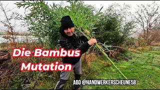 Die Bambus - Mutation  Der Film Teil 1  Wurzeln in Hülle und Fülle  Alles muss raus  #garten