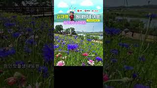 뚝방길에서 바라본 하늘 #함안 악양 생태공원