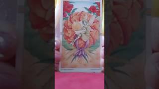 ორშაბათი დღე და კარგი ამბავი!599577343