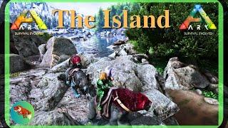 Searching for Rexes!  ARK Survival Evolved - SOLO - The Island 2024 (EP21)