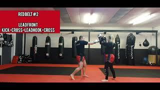 Red Belt #2
