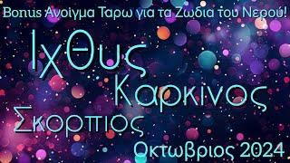 Ομορφες και θετικές οι εξελίξεις στα ερωτικά το επόμενο διάστημα για τα Υδάτινα!