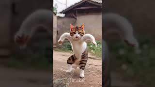 Funny cat  monkey  and baby laughing video #shorts #cute #baby #monkey #cat #youtubeshorts