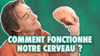 How does the brain learn to read? - L'Esprit Sorcier