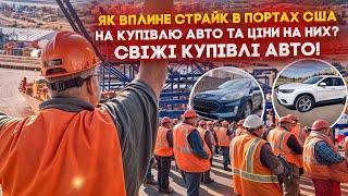 Страйк докерів в портах США! Що буде далі? Ціни на Авто із США впали до шаленого низу!