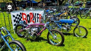 DMV: The AMAZING Motorcycles of BORN FREE