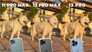 iPhone 13 Pro vs iPhone 12 Pro Max vs iPhone 11 Pro Max Camera Comparison