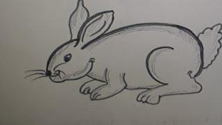 Easy and Simple Rabbit Drawing, rabbit drawing, rabbit drawing mateem painter, chitrkla